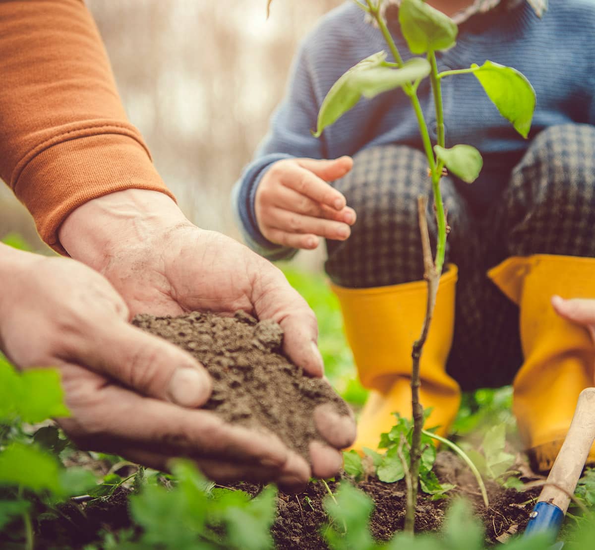 Grow your savings